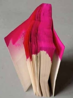 Dunk Dyed Book
